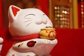流行宠物猫赚钱的几种方式，你知道吗？图片