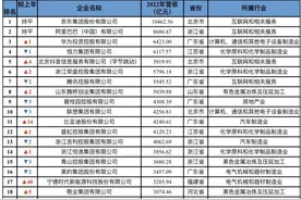 2024年中国民营企业百强榜发布，抖音集团位列第五图片