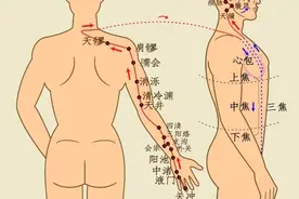晚上揉一揉三焦经，通畅三焦之气，上焦通则失眠少图片