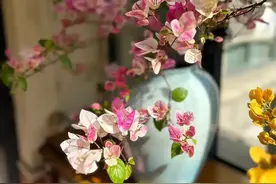 进化论：世界终究是一个美好的世界图片