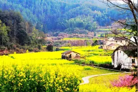 中医肝病科：全国最好的二十个医院排名图片