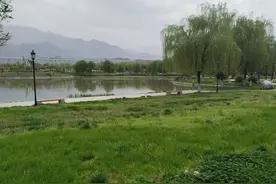 曾经遭受过霸凌的历史名人，大家有没有意外？图片