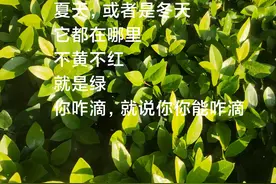 马云说过，股市大家都赚钱的时候，连跳广场舞的老大妈...图片