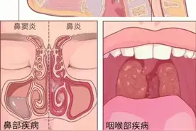白天不咳，晚上躺下就咳！不是喉咙的问题，而是这个器官！图片