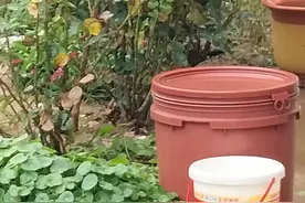 民间故事：人吓人吓死人的真实笑话图片