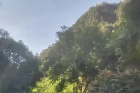 两个挖桩工人从中午干到天黑，在井下遇到什么...图片