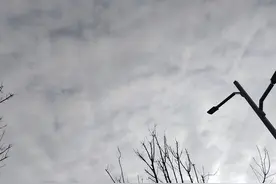 《亮剑》：李云龙赵刚的女人死的最惨的是谁？图片