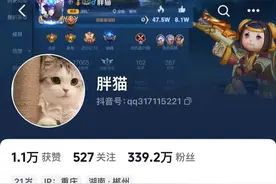 胖猫一路走好！ 胖猫的账号，没有一个作品图片
