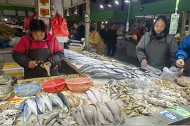 黄海边的如东：海鲜与春鱼图片