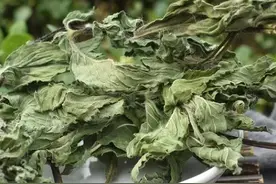 应对甲状腺结节，有4个堪称“天花板”的存在图片
