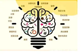 从哲学的角度来看，逻辑思维具有重要的地位和作用图片