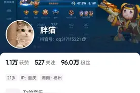 胖猫事件是指2024年4月11日凌晨4点图片