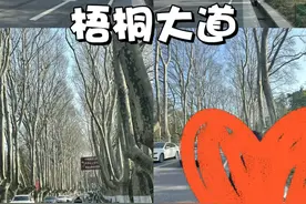 南京是一个没准备不能去的地方!我前后大概去了南京8次图片