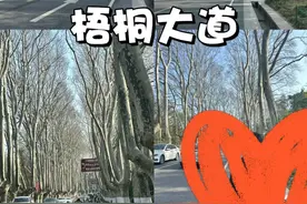 南京是一个没准备不能去的地方!我前后大概去了南京8次图片