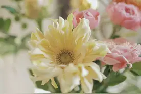 2015年，奶茶妹妹章泽天和刘强东结婚，结婚的前两...图片