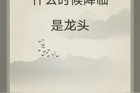 小青龙宝什么时候降临是龙头！！！图片