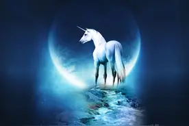 中国最新十大独角兽企业 1.字节跳动 总部位于北京市图片
