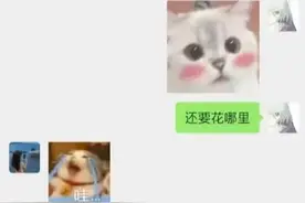 胖猫事件聊天记录，细思极恐，大家自己看看 一图片