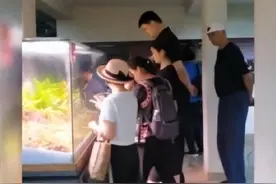 智商未必遗传，但是强健的体魄，是可以遗传的图片