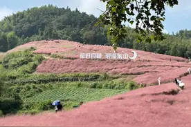 其实大部分男人是无法承受住女人的那份深情的。他内心...图片