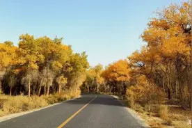 穿越塔克拉玛干大沙漠，向每位沙漠公路人致敬图片