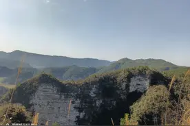 胖猫故事 胖猫的故事想必这两天大家通过各种主流的媒体都...图片
