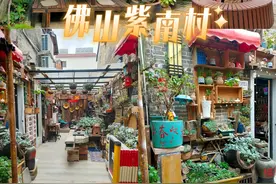 最印象深刻的一次旅行——佛山｜紫南村4A图片