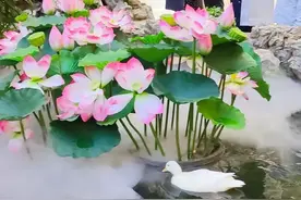 如果活到七十五岁，还能够做到以下这些方面，那么你是有福气之人图片