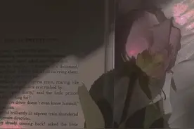 人间清醒： 30条毒句，骂醒那个不懂珍惜的你 1、💥图片