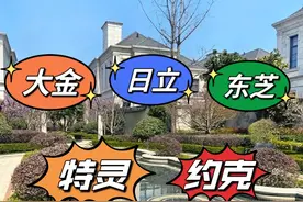大金，日立，东芝，约克，特灵选择哪个比较好？图片