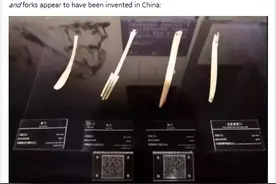 美网民：用筷子是不文明现象，中国网友没动手，各国网...图片