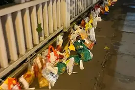 4.11重庆“胖猫”跳江事件 4·11“胖猫图片
