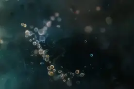已经基本确认地球上的所有生命并不来自地球图片