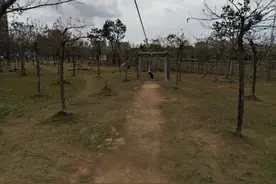 昨天，中国移动又想坑我了，这老套路早就过时了图片