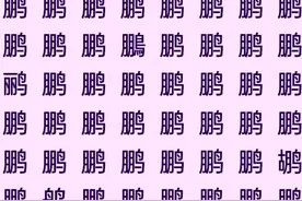 考眼力练耐心，鹏、程、万、里、量，五个汉字找不同，您能找到吗图片