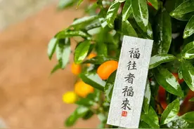 “人说四话，得罪老天”：尽量不要讲这四种话，命就顺了，别不信图片