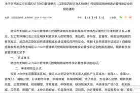 汉阳方岛金茂土地性质变更听证会——你了解多少？图片