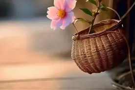 人民日报：一眨眼就是一天图片
