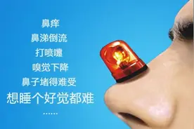 通窍鼻炎颗粒与鼻渊通窍颗粒的区别 通窍鼻炎颗粒：辛夷图片
