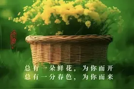 法学专业不做律师能干啥？披露法学专业6个热门就业方向图片
