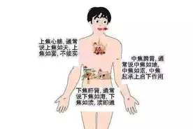 中焦不通，百病丛生，先小柴胡，再香砂六君子，打通三焦病不生图片