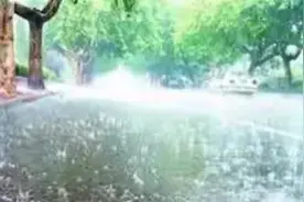 北京终于下雨了！北京人却破防了！ 经过漫长的干旱期图片