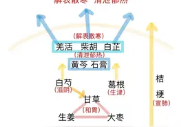 中医处方里如何理解，看完这个示意图就明白了图片