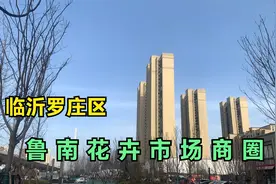临沂罗庄商圈测评：鲁南花卉市场商圈，百花湖规划，你会喜欢吗视频封面