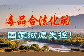 大麻合法化的国家们，开始失控了，可喜可贺！视频封面