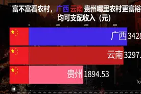 富不富看农村，广西 云南 贵州哪里农村更富裕？看人均可支配收视频封面