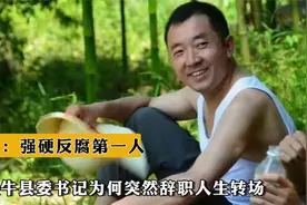 陈行甲：强硬反腐第一人，中国最牛县委书记为何突然辞职人生转场视频封面