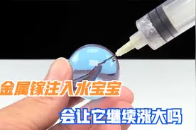 水宝宝真的有生命吗？把金属镓注射进去，会让水宝宝变大吗？视频封面
