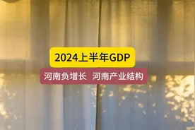 2024上半年GDP，河南负增长的原因视频封面