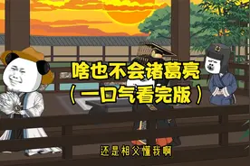 外卖小哥穿越到三国，穿成诸葛亮，却啥也不会，硬着头皮当丞相视频封面